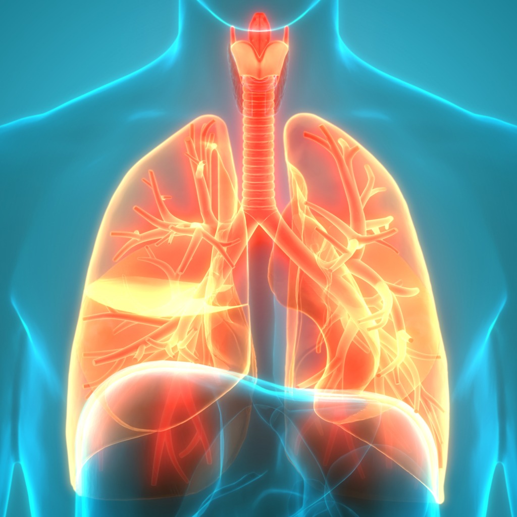 Wijk Samenwerkingsverband_Bosgasthuis_COPD