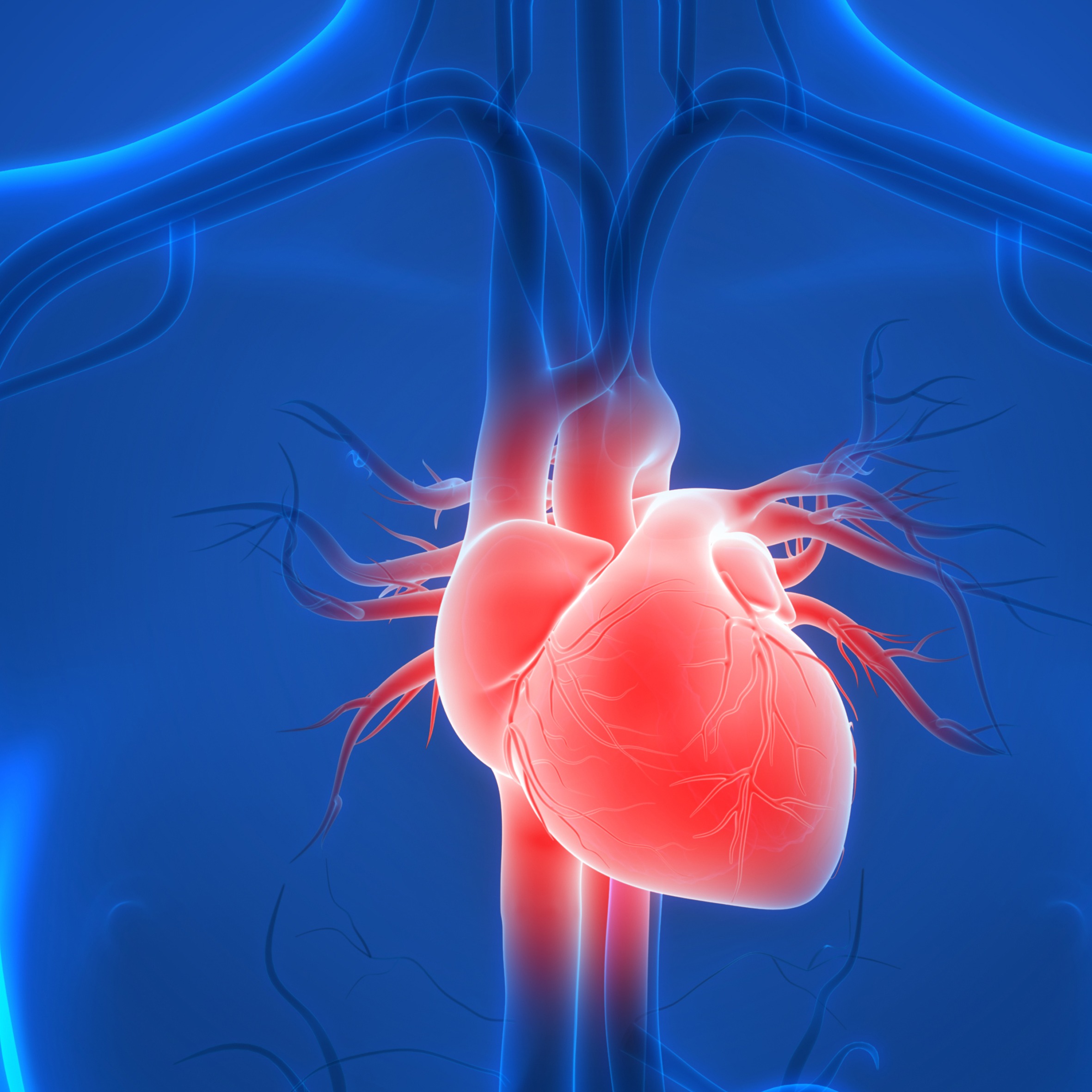 Wijk Samenwerkingsverband_Bosgasthuis_hartenvaat