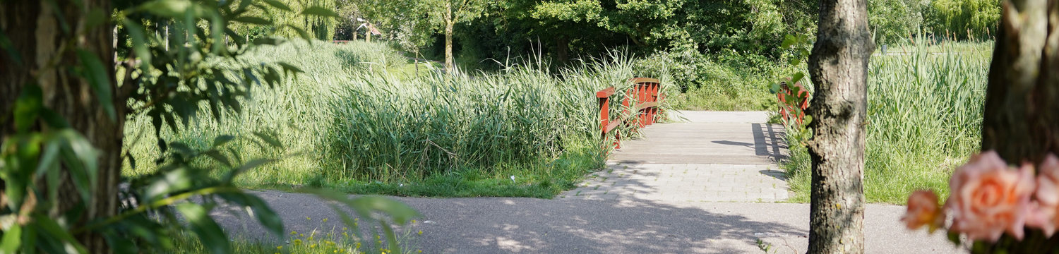 Header_Stevenszorg-brug